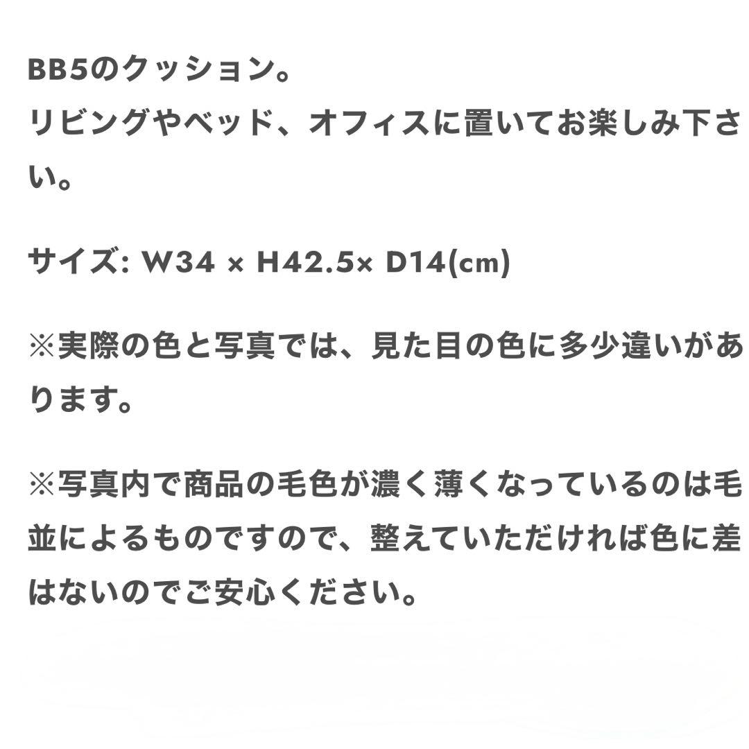 コムドット ゆうた BB5 クッション REI 袋付き♩