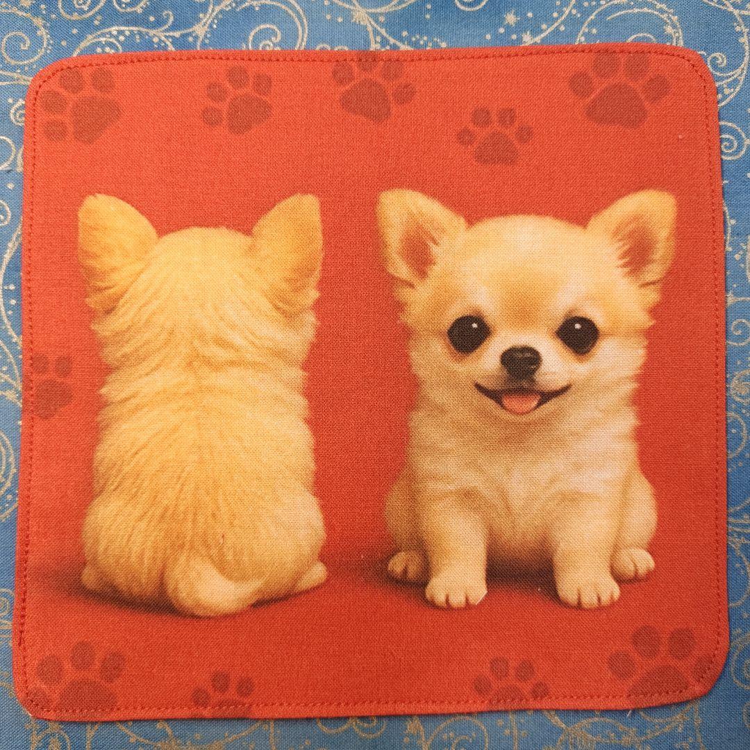 ななちゃん　ハンカチ　ネコちゃん柄　17枚