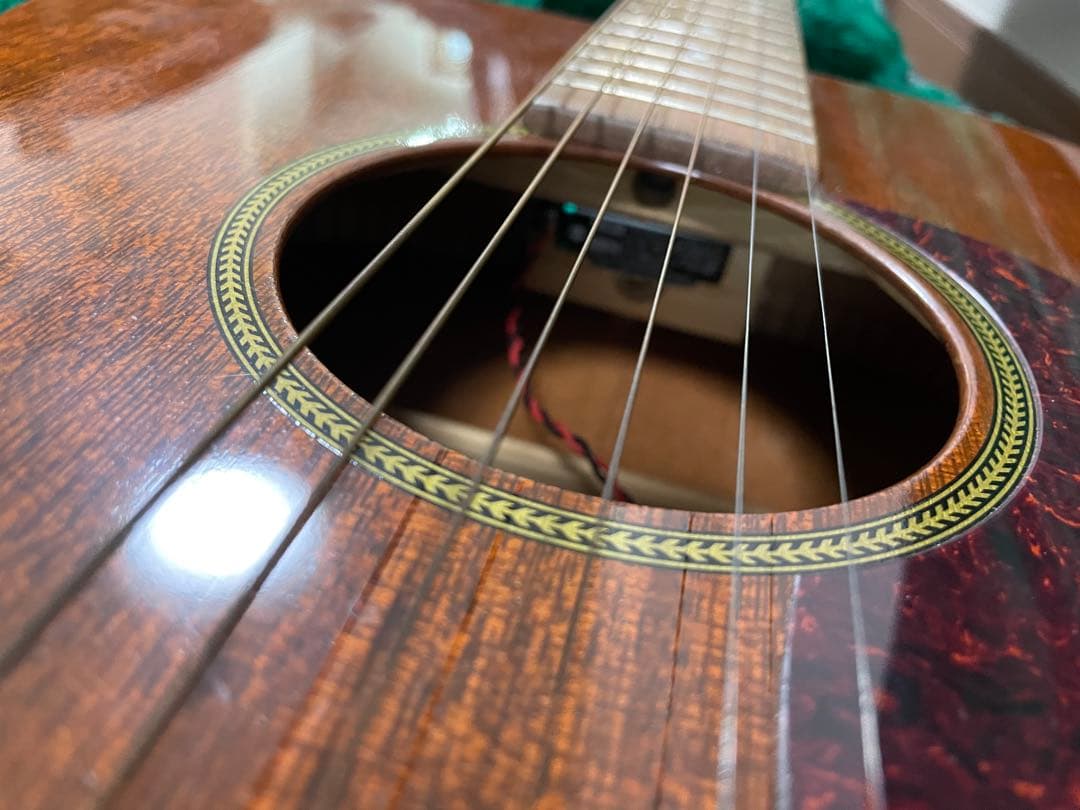 Martin & Co. アコースティックギター　オールマホガニー