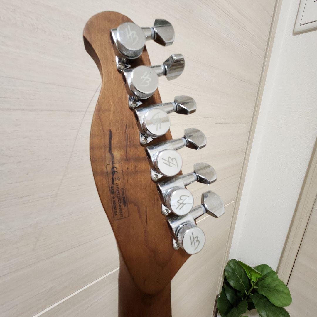 【最終値下げ】Harley Benton Fusion-T RoastedFNT