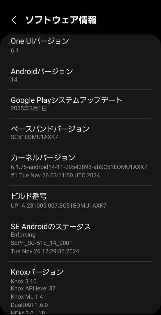 4/23まで！【美品 ドコモ版】 GALAXY S24 256GB