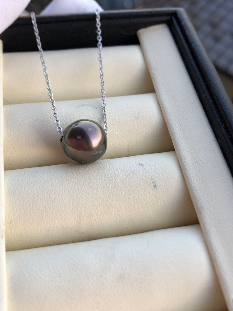 本真珠　黒蝶真珠ネックレスPJ12