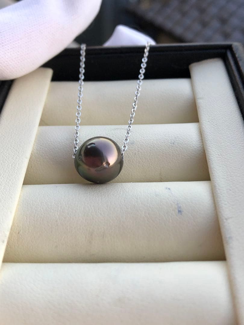 本真珠　黒蝶真珠ネックレスPJ12