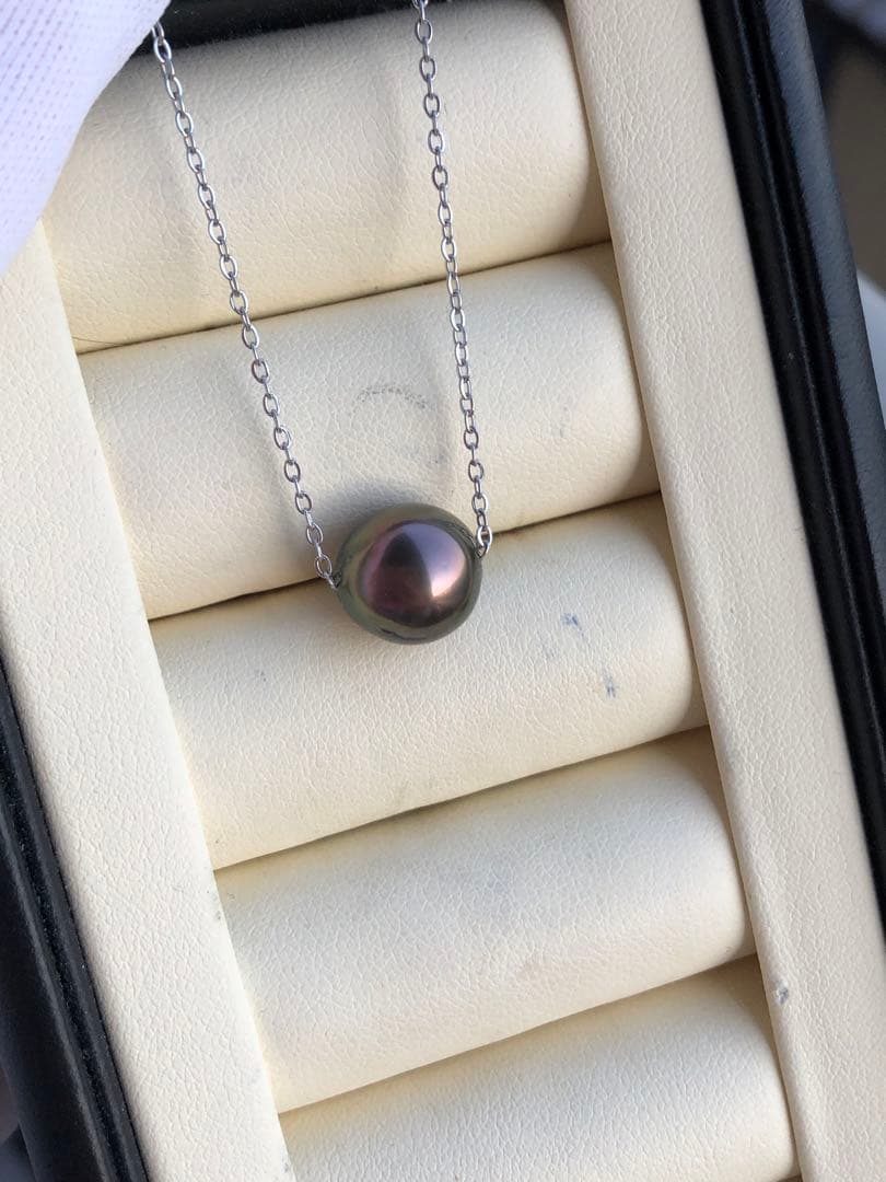 本真珠　黒蝶真珠ネックレスPJ12