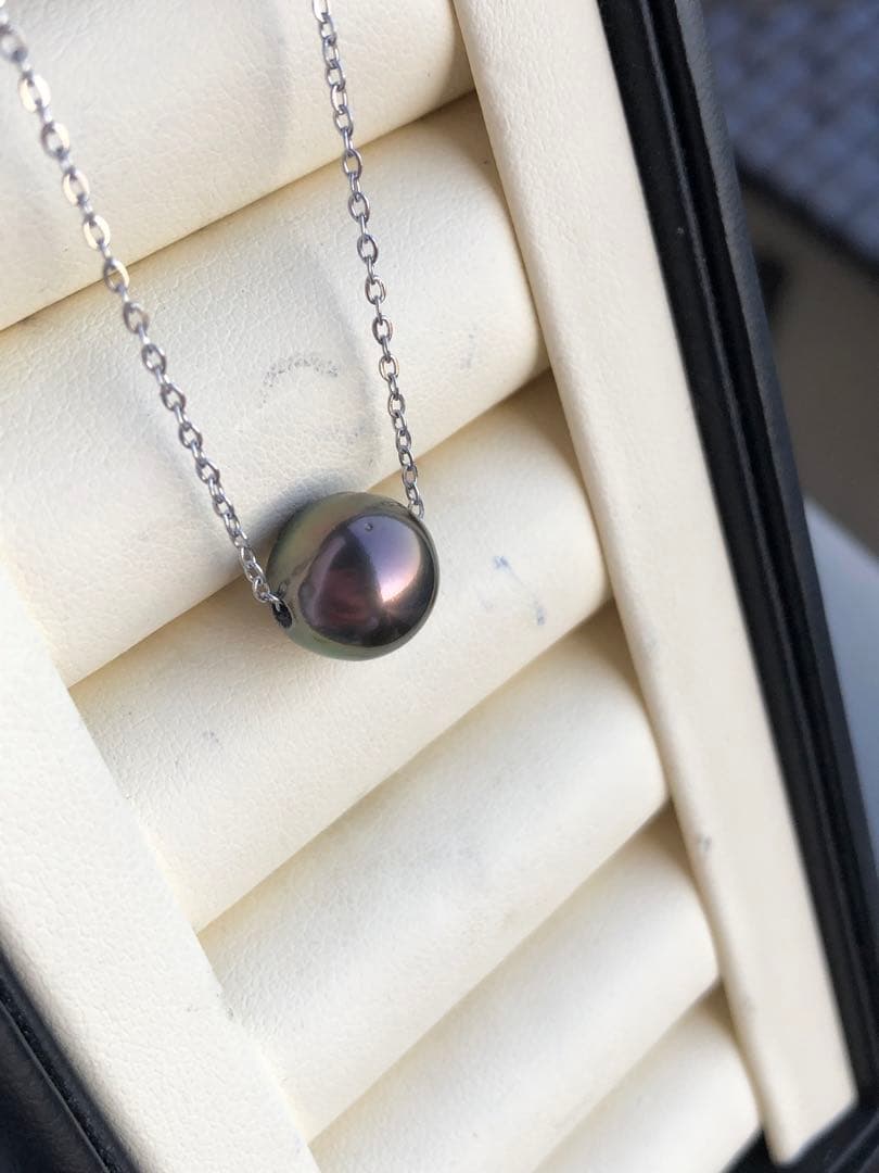 本真珠　黒蝶真珠ネックレスPJ12