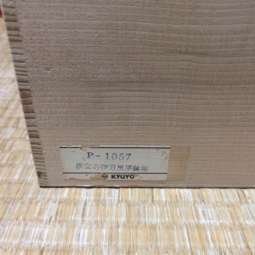 新品未使用 有田焼 極彩古伊万里平鉢揃 5皿 器