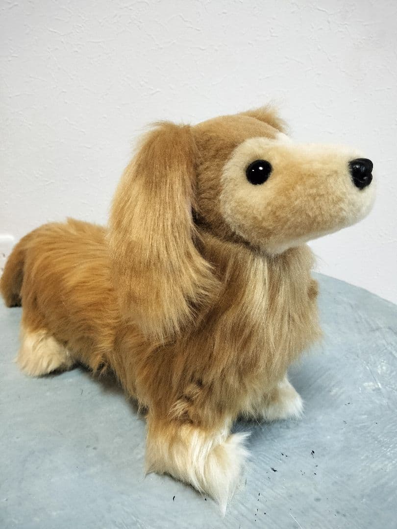 ゆかべぇ　ダックス　レッド