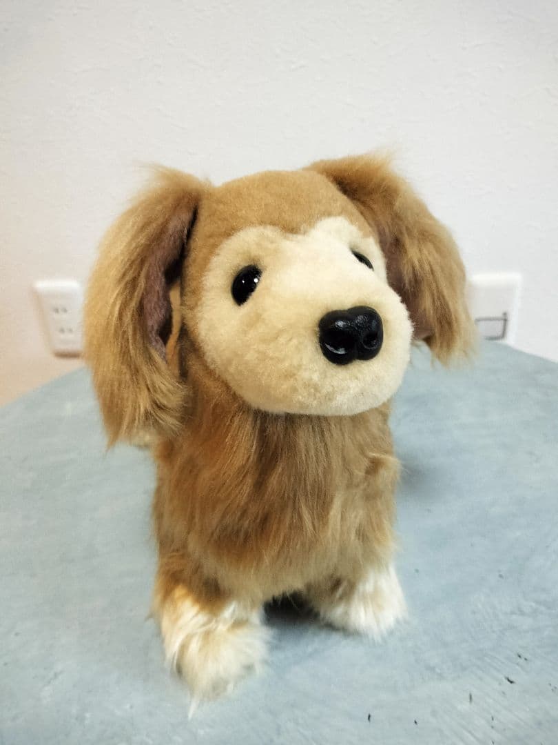 ゆかべぇ　ダックス　レッド