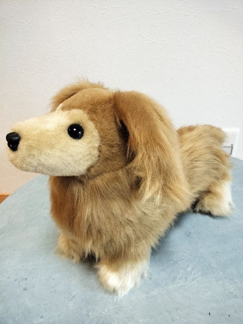 ゆかべぇ　ダックス　レッド