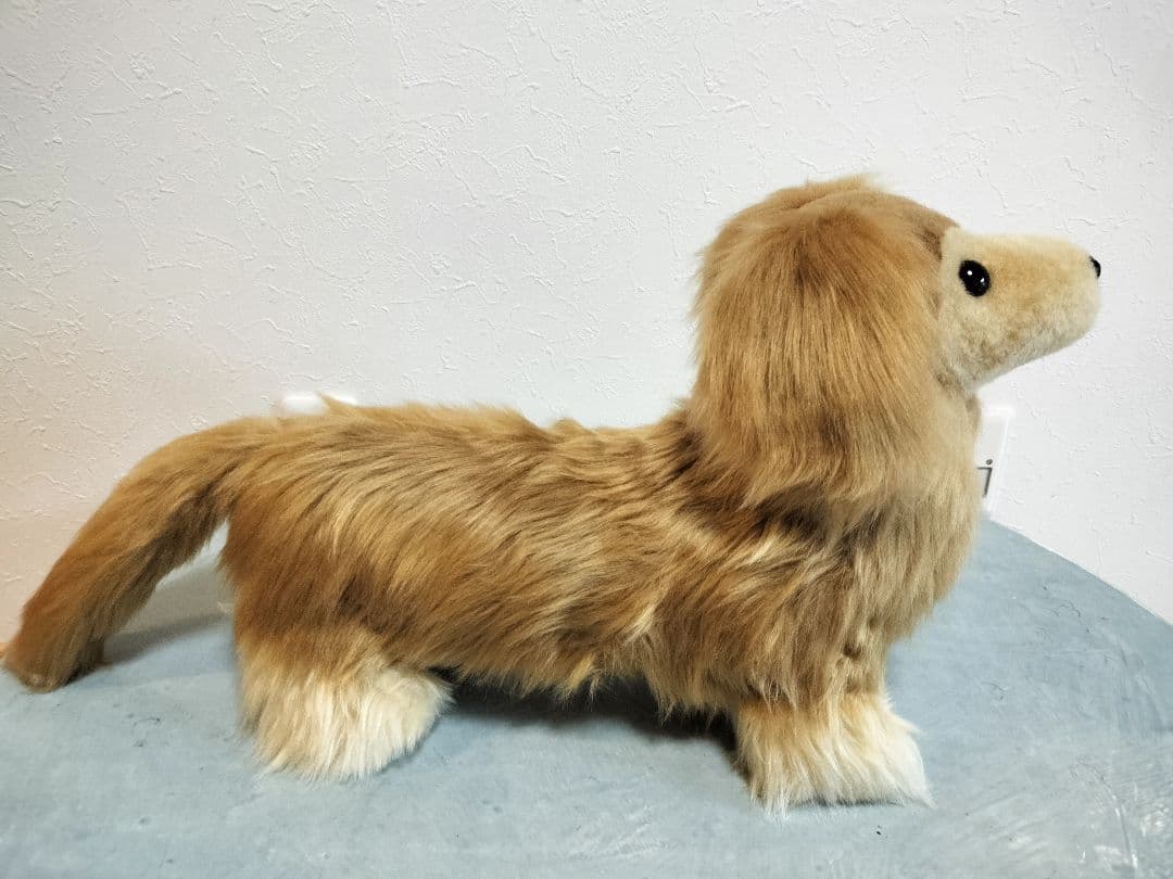 ゆかべぇ　ダックス　レッド