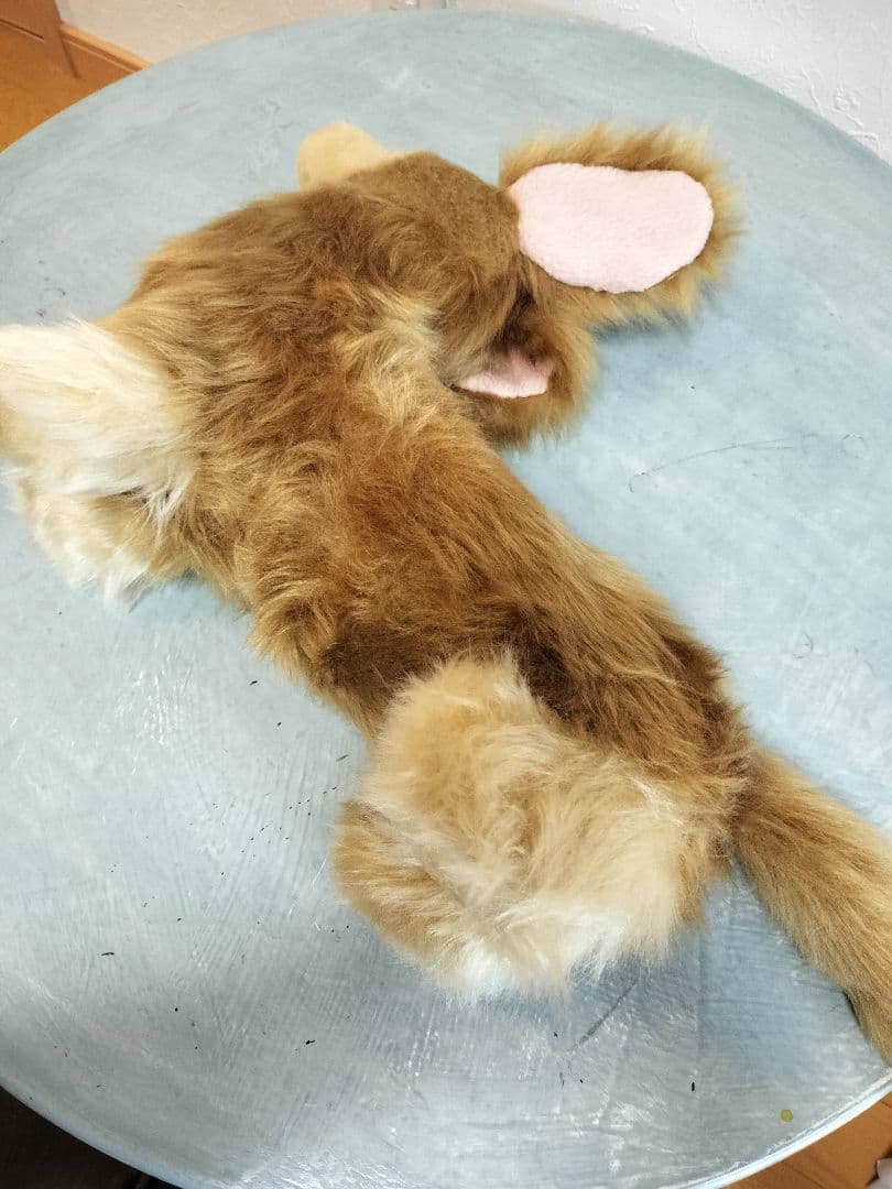 ゆかべぇ　ダックス　レッド