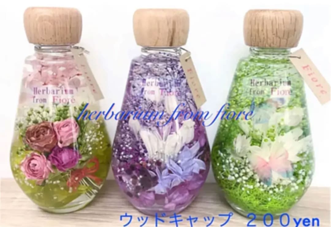 グリーンフォレスト  濃いブルーの蝶々　＊しずく＊　小さな森　ハーバリウム　癒し