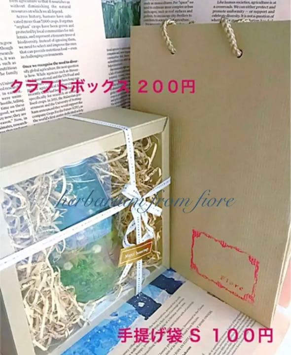 グリーンフォレスト  濃いブルーの蝶々　＊しずく＊　小さな森　ハーバリウム　癒し
