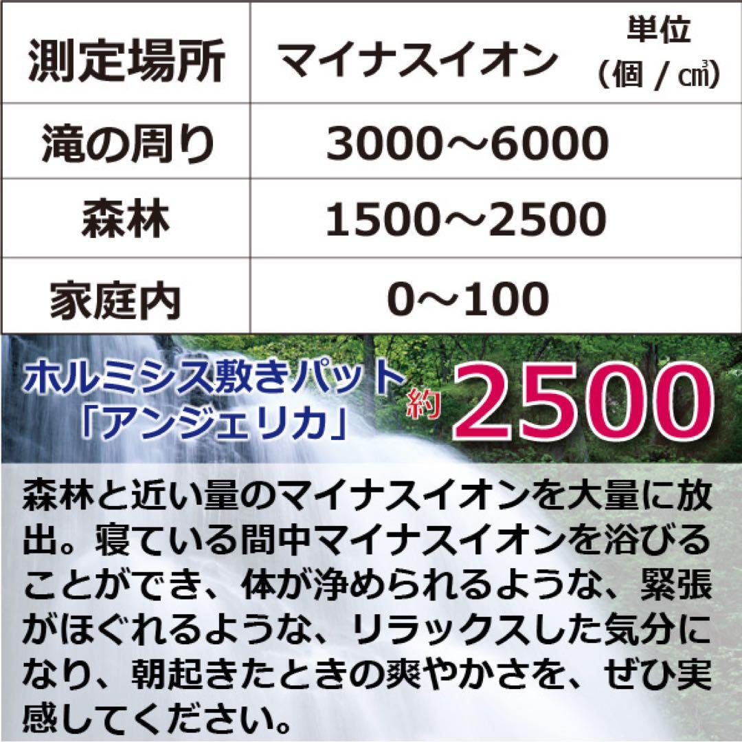 【断捨離】ホルミシス敷きパッド「アンジェリカ」2枚