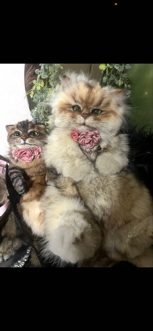 リアルファー 猫ぬいぐるみオーダー