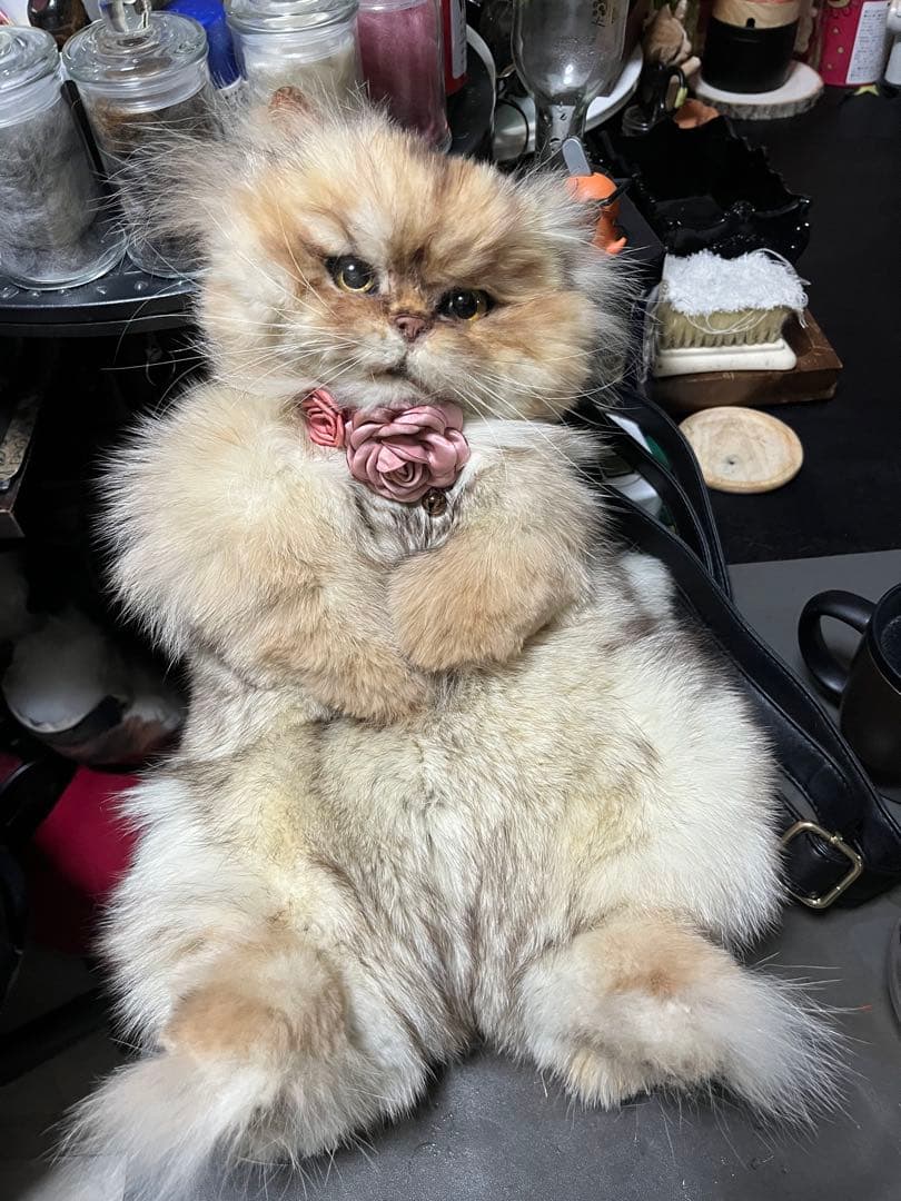 リアルファー 猫ぬいぐるみオーダー