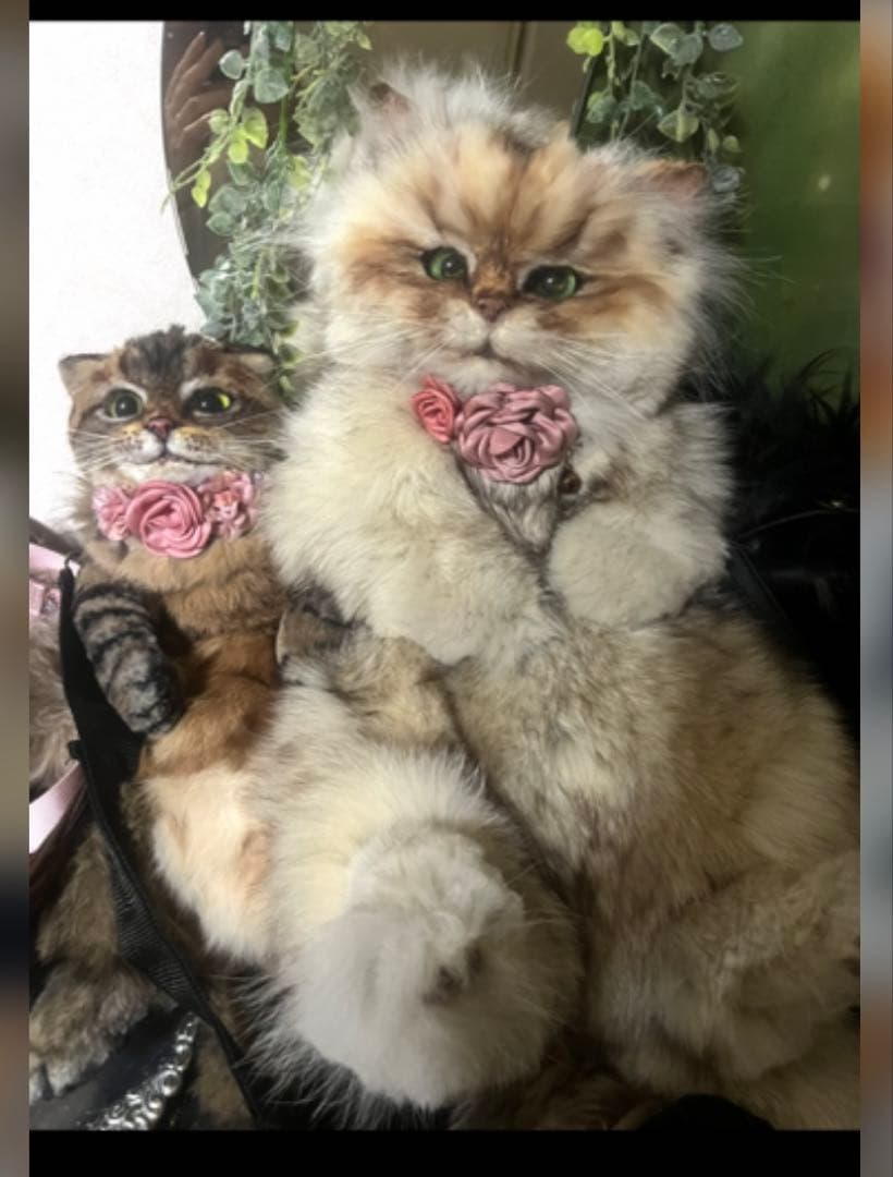リアルファー 猫ぬいぐるみオーダー