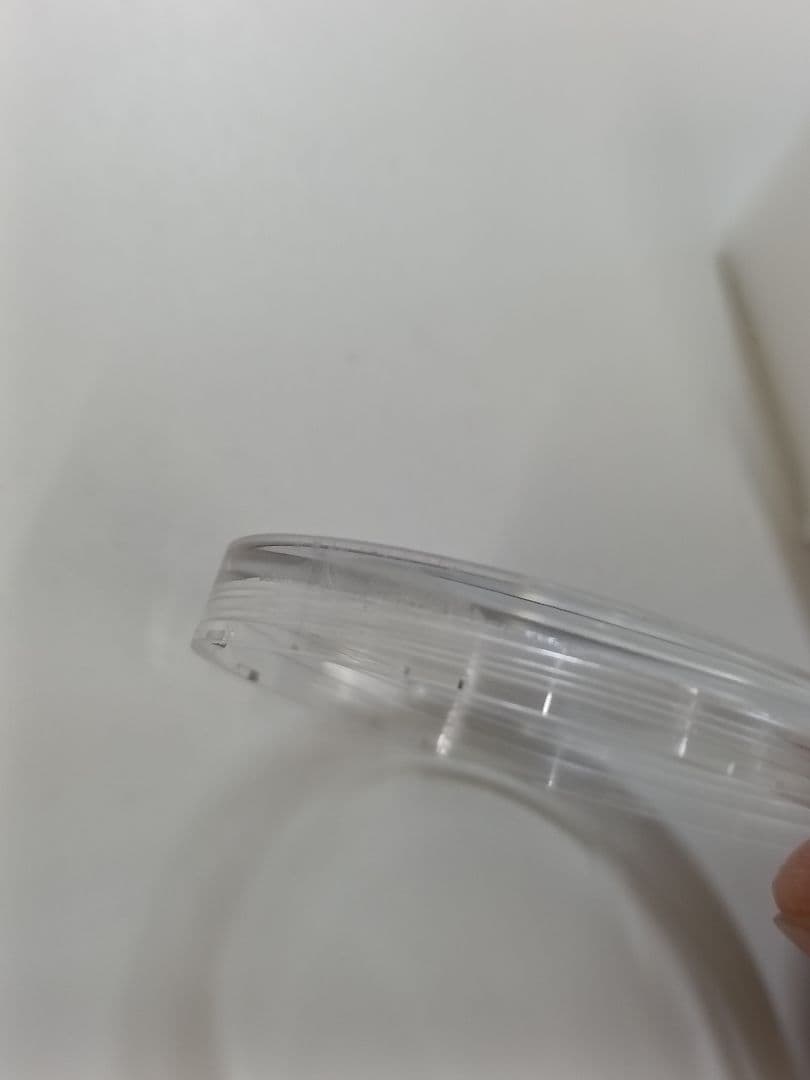 1999イギリス エリザベス女王 ブリアニア銀貨