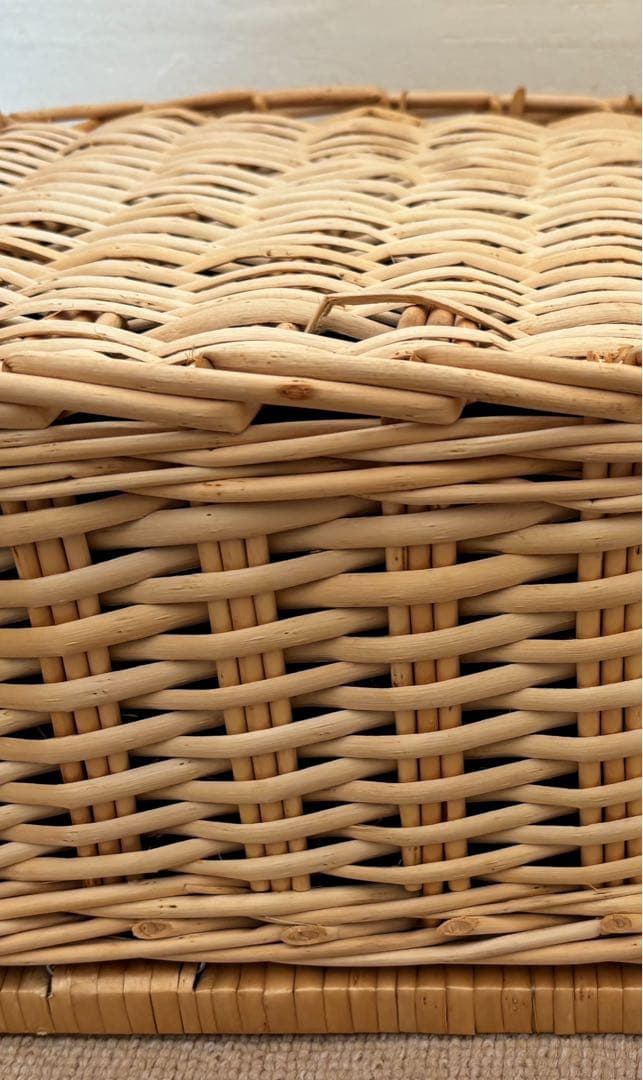 Humming bird ピクニック バスケット