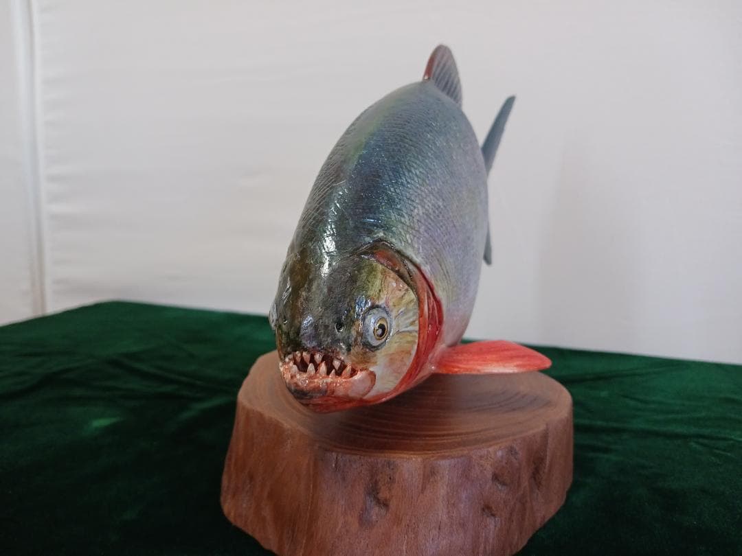 熱帯の魚、木彫、リアルなピラニア約30cm