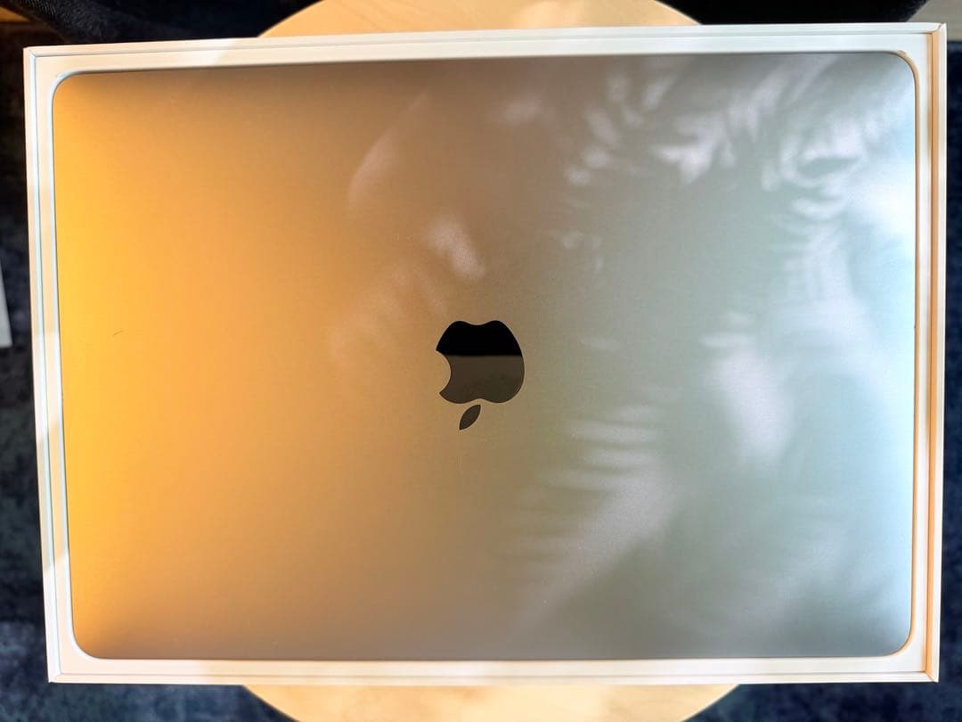【ジャンク品】Apple MacBook Pro 2019 8GB/512GB