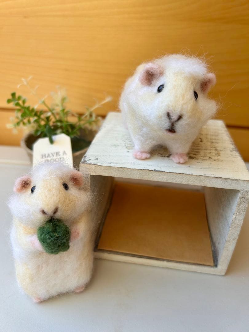 i am you♪モルモットちゃん2ポーズ 羊毛フェルト ハンドメイド