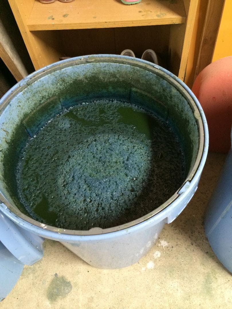 【手染め】山口県産「種から育てた藍染め」今治タオル