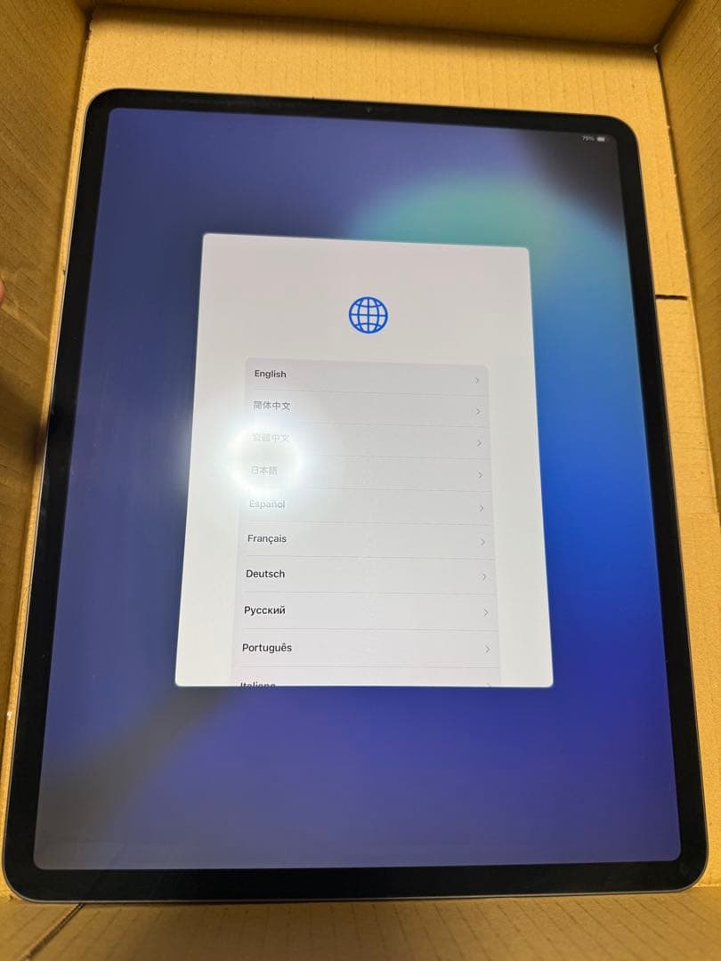 iPad Pro (12.9インチ) (第4世代) スペースグレー