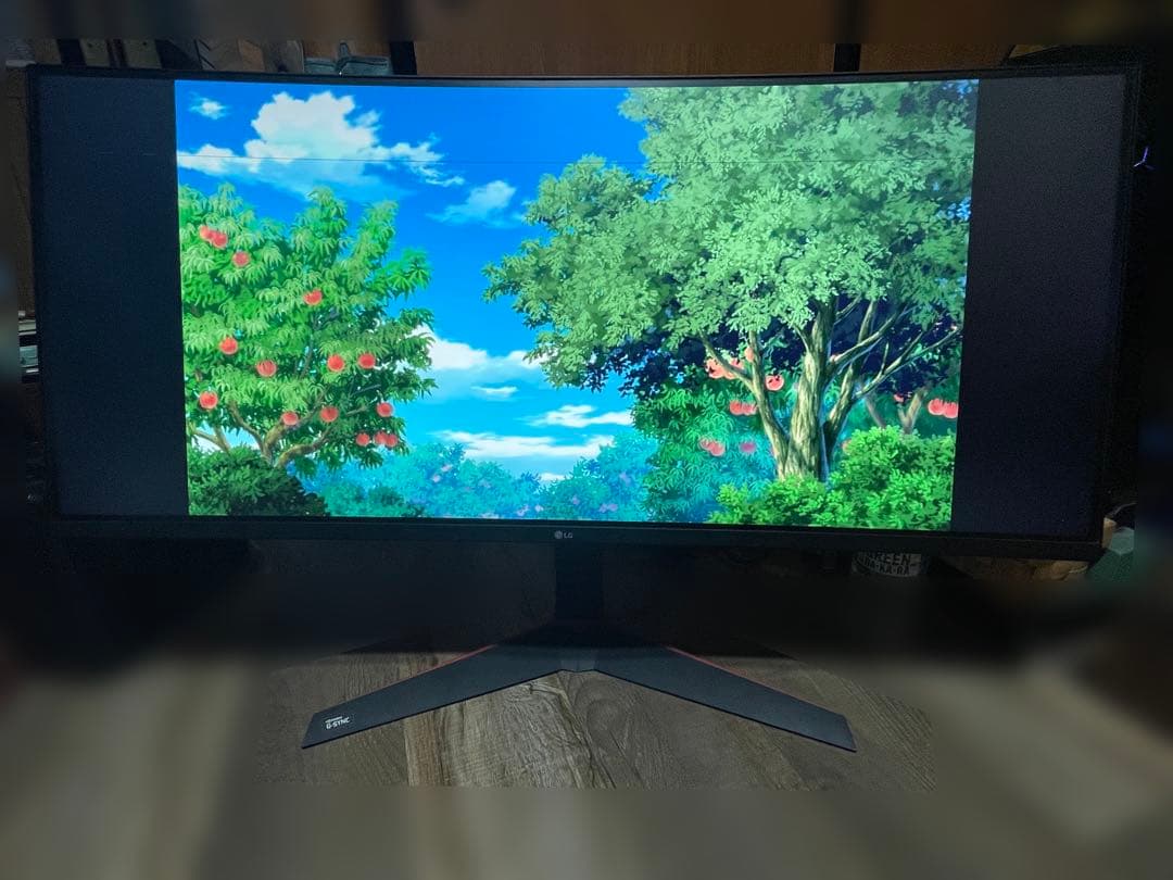 LG 34インチウルトラワイドゲーミングモニタ 34UC89G-B ※横線あり