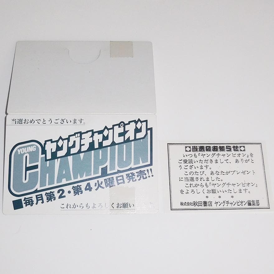 永尾まりや 直筆サイン入りチェキ 元AKB48