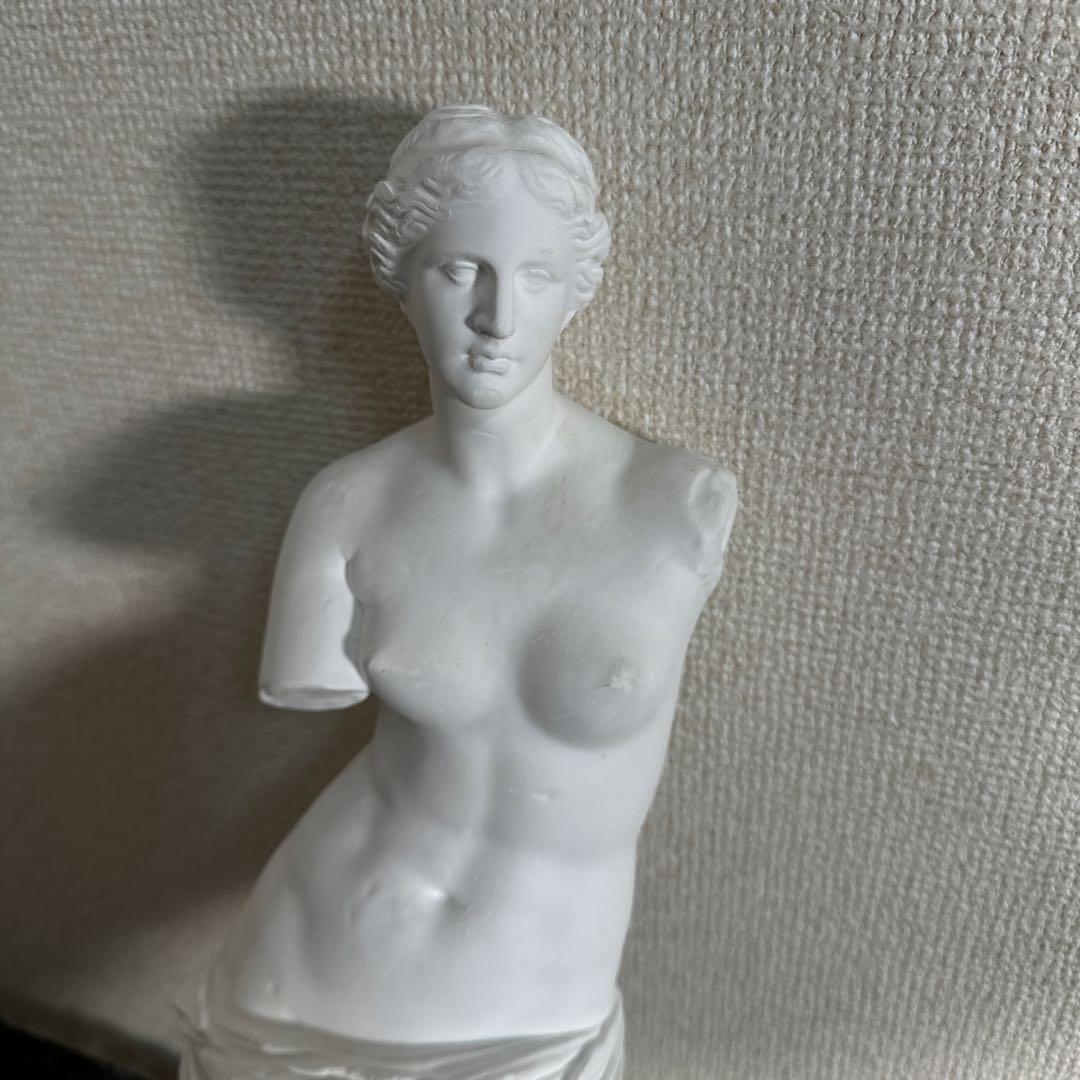SUKEGAWA ミロのヴィーナス 石膏像 彫刻作品 美術品