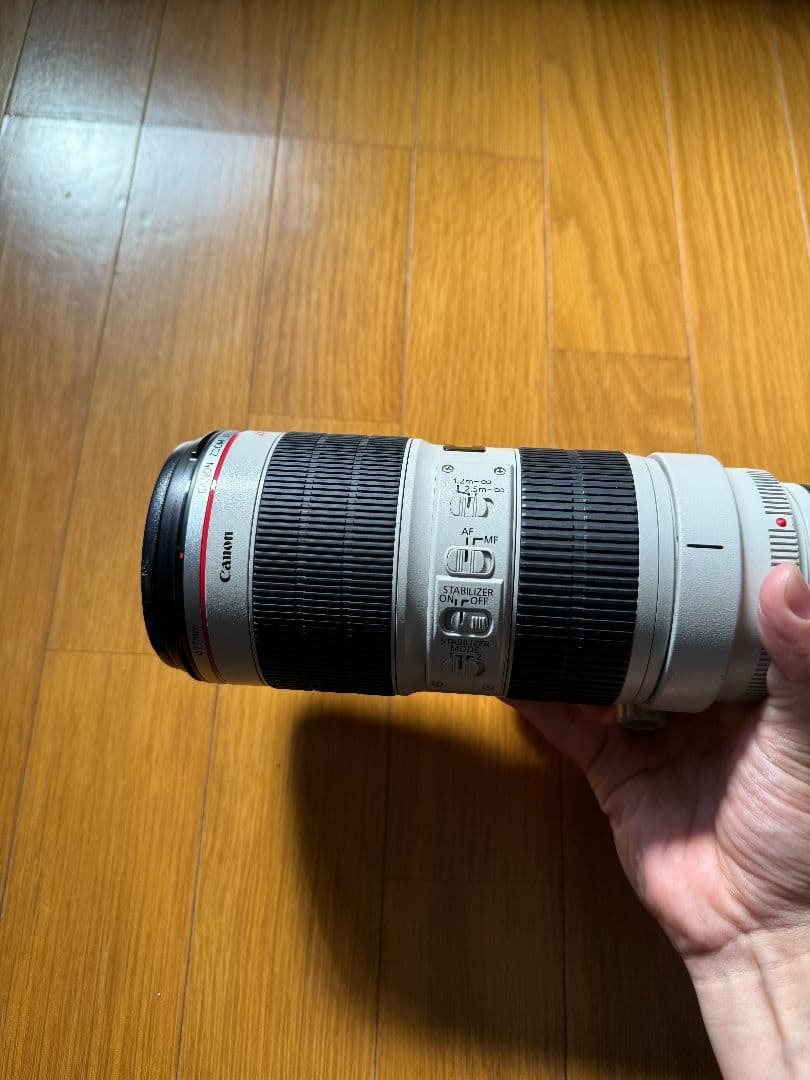 Canon EF70-200mm F2.8L IS II USM＋a
