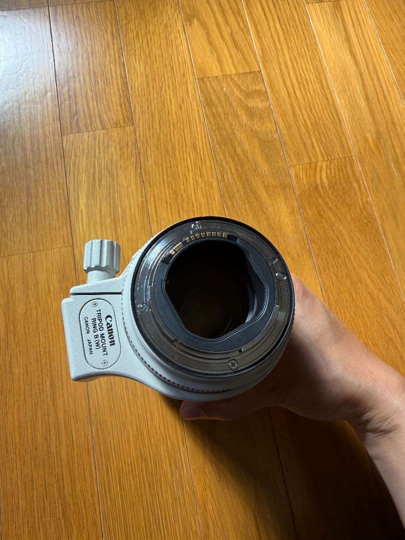 Canon EF70-200mm F2.8L IS II USM＋a