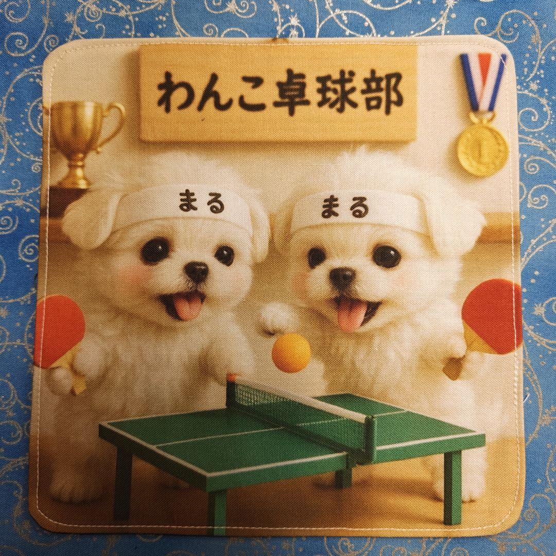 なつぞら　ハンカチ　ねこちゃん柄　18枚