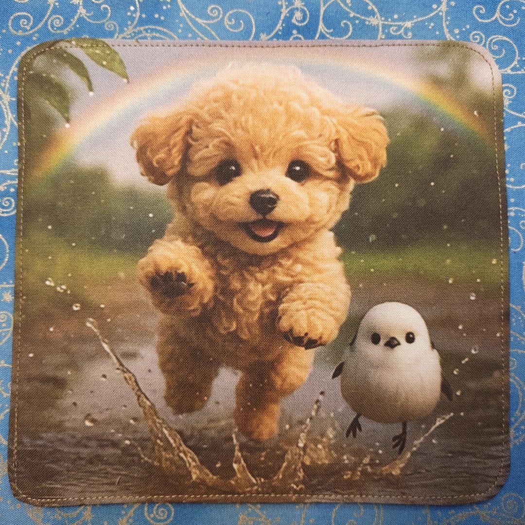 なつぞら　ハンカチ　ねこちゃん柄　18枚