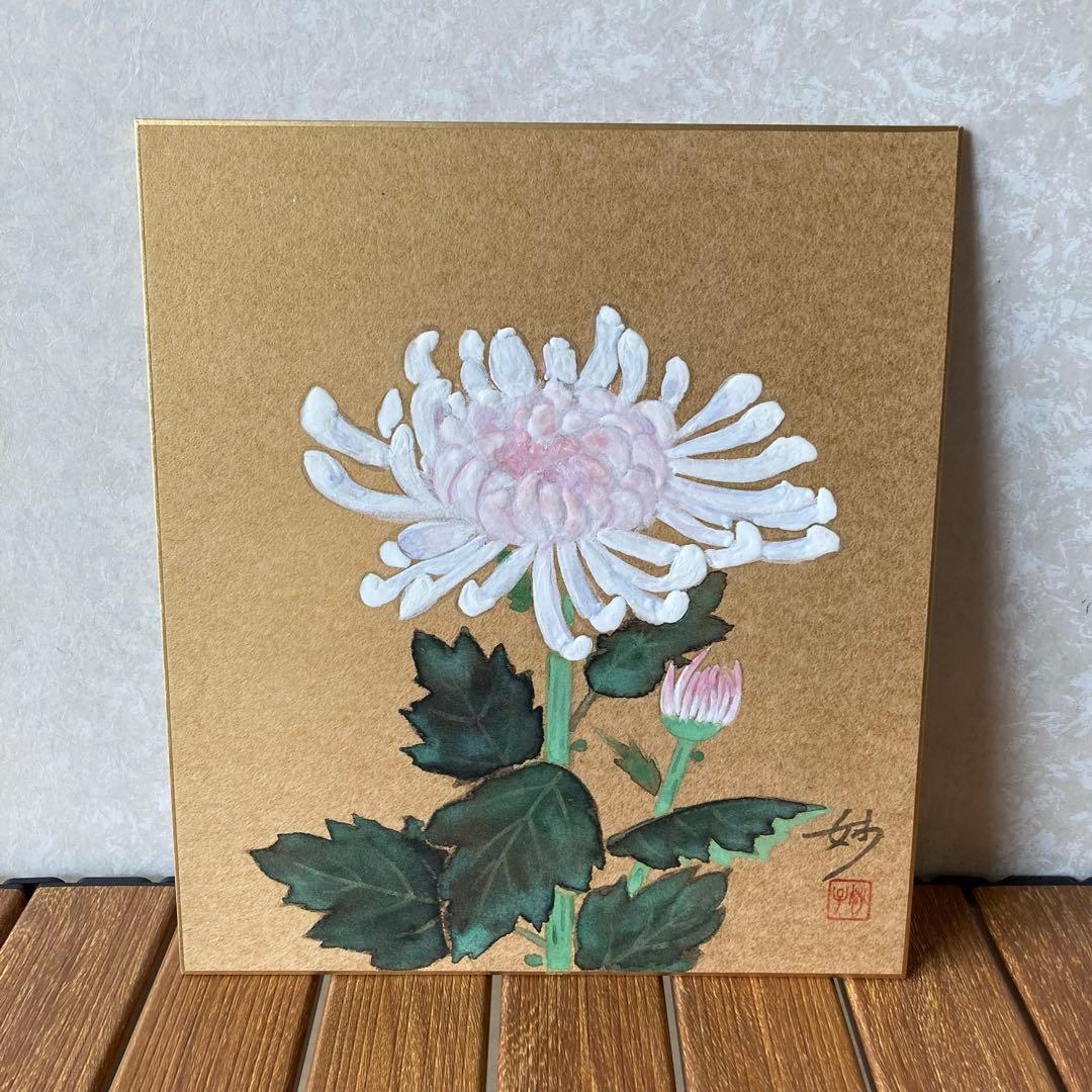 TS80 菊 色紙 絵画 日本画 芸術 伝統 工芸品 白菊 秋 季節 飾り