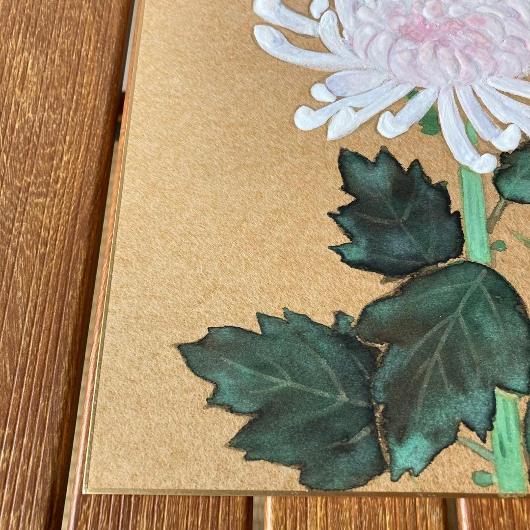 TS80 菊 色紙 絵画 日本画 芸術 伝統 工芸品 白菊 秋 季節 飾り