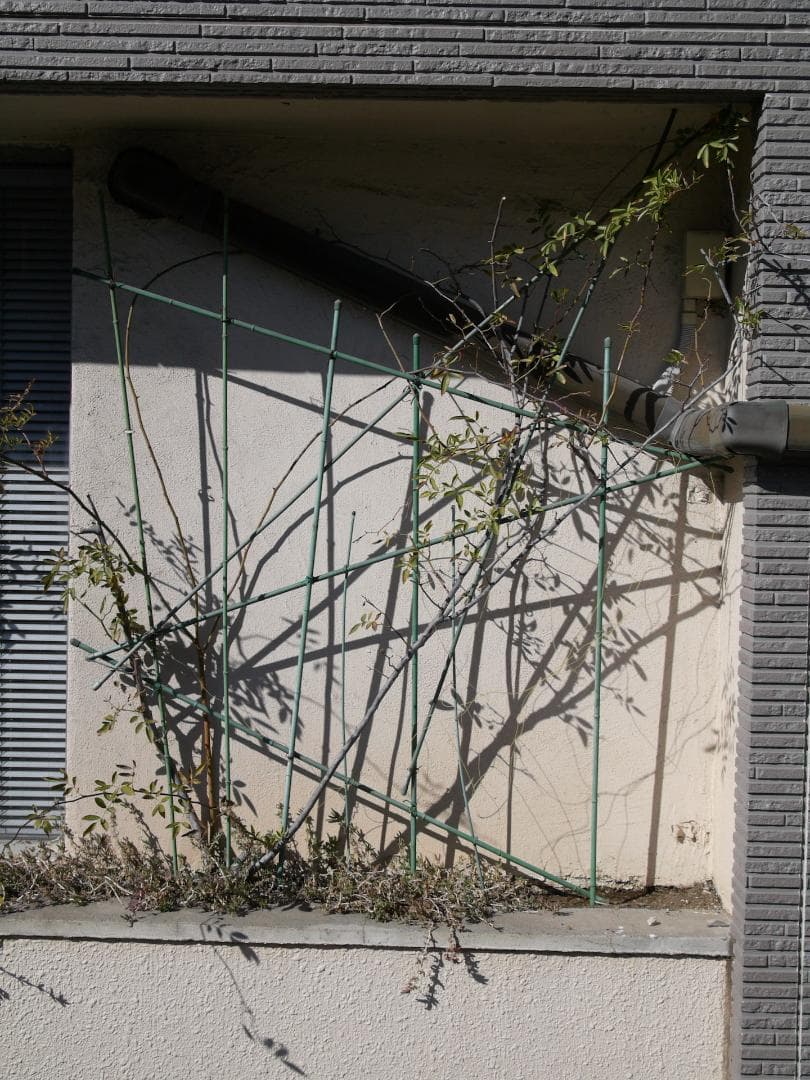 美品 完動品 LUMIX L1 レンズ2本付 バッテリー3本 申し渡しあり