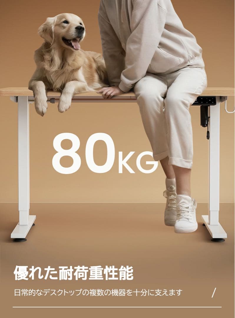 Maidesite 昇降デスク 電動 耐荷重80kg 110×60