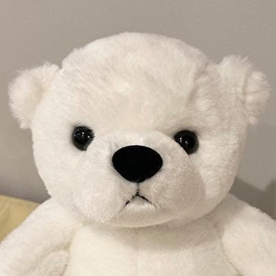 ベアフレール　 S サイズ4種類セット　北極熊。ツキノワグマ。パンダ。ヒグマ