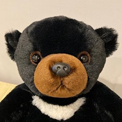 ベアフレール　 S サイズ4種類セット　北極熊。ツキノワグマ。パンダ。ヒグマ