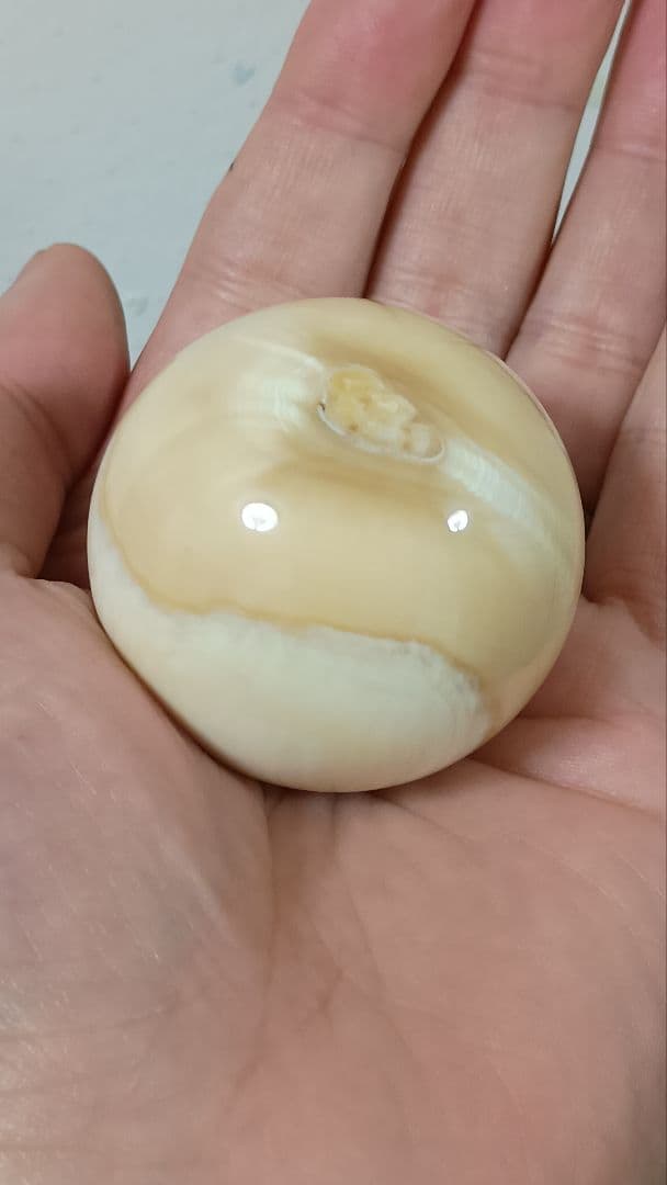 超超超特大 化物級 鯨歯玉 マッコウ鯨 牙玉 無穴 約44.5㎜ 珍品　縁起物