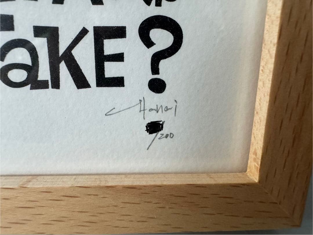 花井祐介hanai yusuke シルクスクリーンポスター patagonia