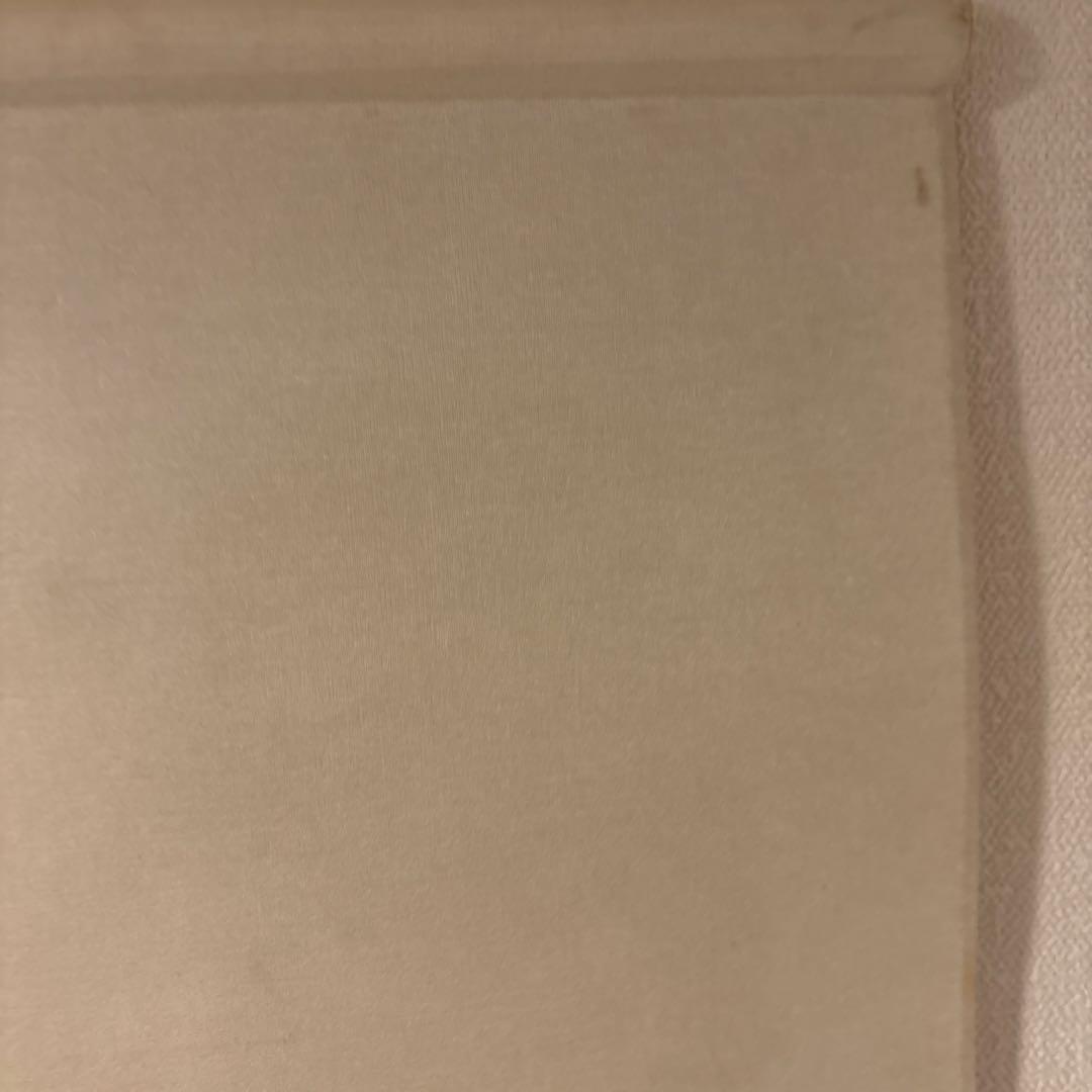 掛軸 田中芳夫 京の朝 渡月橋 新緑 共箱 太巻仕立て