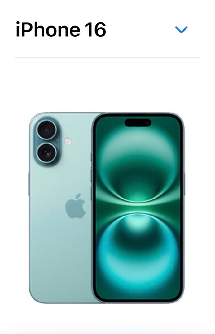 【フィーナさん専用】iPhone16 256G ティール