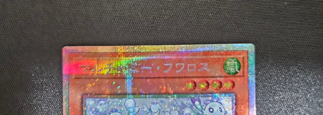 マルチャミー・フワロス　プリシク