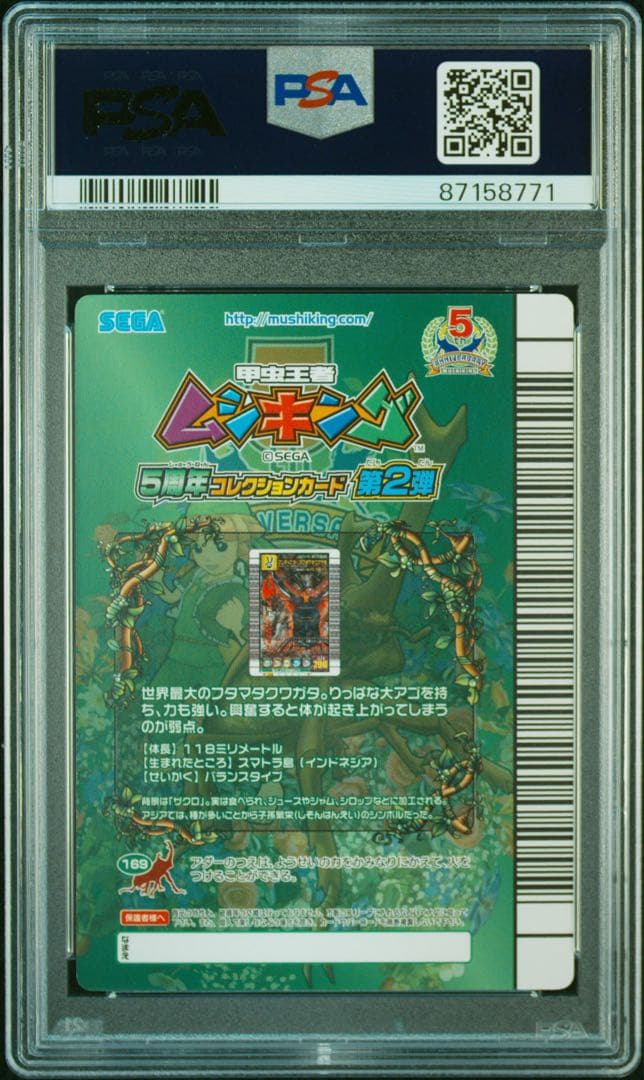 【PSA8】 ムシキング5周年　マンディブラリスフタマタクワガタ　アダー