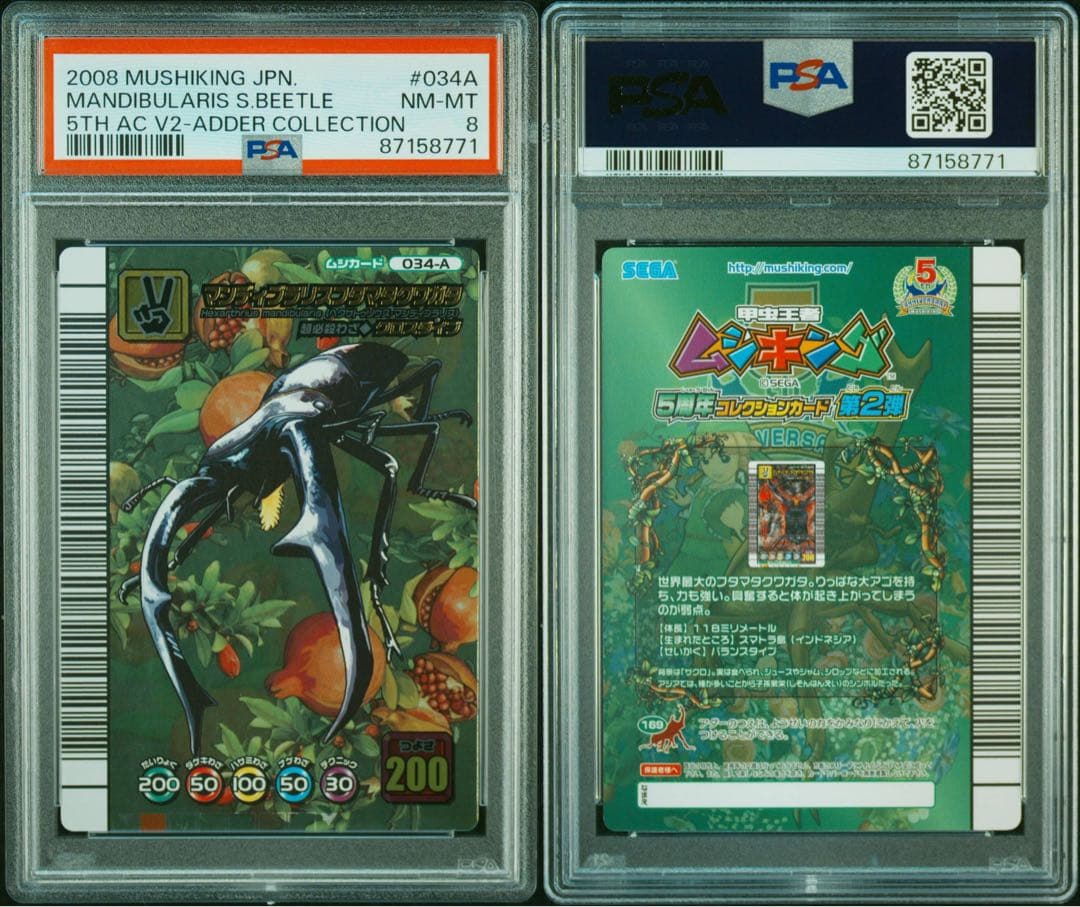 【PSA8】 ムシキング5周年　マンディブラリスフタマタクワガタ　アダー