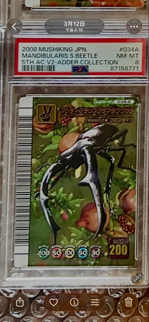 【PSA8】 ムシキング5周年　マンディブラリスフタマタクワガタ　アダー
