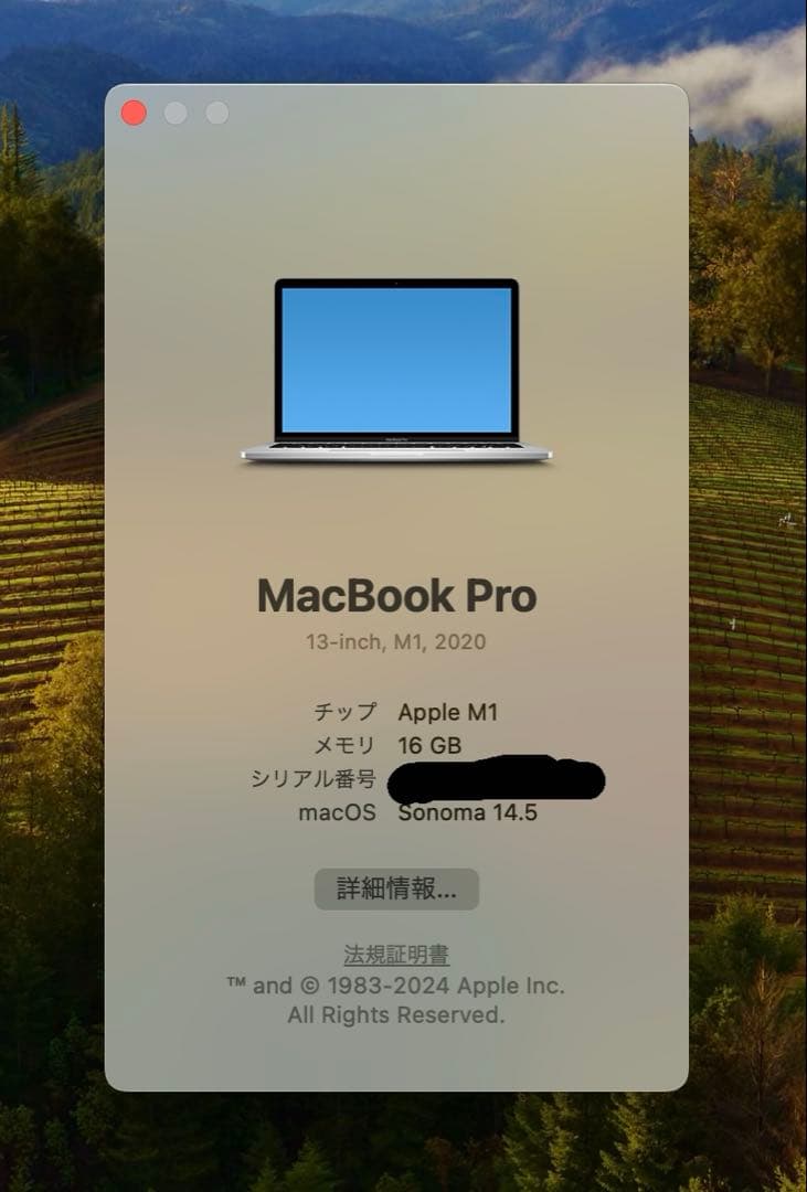 MacBook Pro M1 13インチ 16GB 256GB